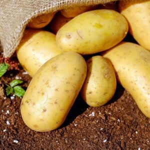 Discover the Superior Quality of Anand Potatoes